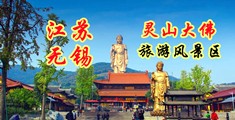 叼黑视频江苏无锡灵山大佛旅游风景区