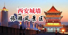 淫荡日本女人中国陕西-西安城墙旅游风景区